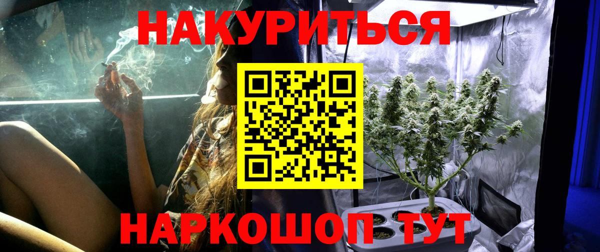Конопля планчик  Вход с VPN  Кунгур  Марихуана ГИДРОПОН 